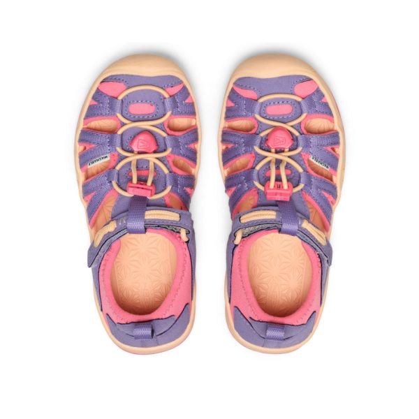 Little Kids' Moxie Sandal  |  Purple Haze/Pink Lemonade