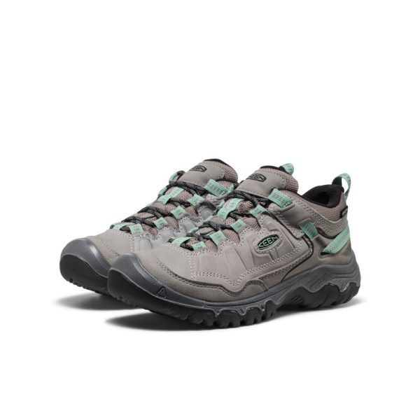Women's Targhee IV Waterproof Hiking Shoe | Alloy/Granite Green