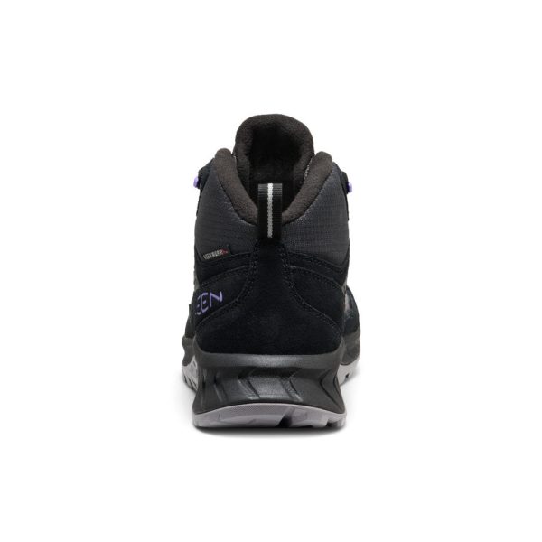 Women's Hightrail Polar Waterproof Hiking Boot | Black/Aster Purple