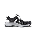 Women's Astoria West Sandal | Black/Grey