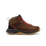 Big Kids' Hightrail Waterproof Hiking Boot | Dark Earth/Garnet