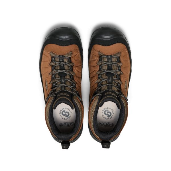 Men's Targhee IV Waterproof Hiking Boot | Bison/Black